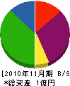 カタヤマ 貸借対照表 2010年11月期