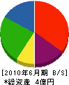 日本建材商会 貸借対照表 2010年6月期