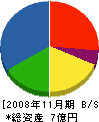 重松兄弟設備 貸借対照表 2008年11月期