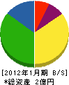 渋谷電通工業 貸借対照表 2012年1月期