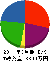 丸橋 貸借対照表 2011年3月期