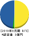 山川 貸借対照表 2010年8月期