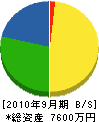 奥田鉄工建設 貸借対照表 2010年9月期