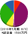 上野工業所 貸借対照表 2010年5月期