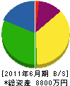 山元工業 貸借対照表 2011年6月期