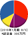 笹 貸借対照表 2010年1月期