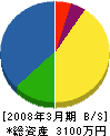 藤井電工 貸借対照表 2008年3月期