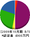 三生工業 貸借対照表 2009年10月期