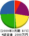 影浦左官工業 貸借対照表 2009年3月期