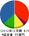 辻さく 貸借対照表 2012年12月期