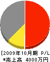 隆栄建設工業 損益計算書 2009年10月期