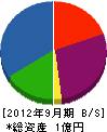 姫城住建 貸借対照表 2012年9月期