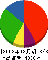 松山組 貸借対照表 2009年12月期