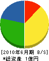 石川組 貸借対照表 2010年6月期