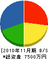 竹内組 貸借対照表 2010年11月期