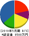 永井水道設備 貸借対照表 2010年5月期
