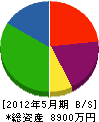 和田工業所 貸借対照表 2012年5月期