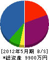 佐藤建設工業所 貸借対照表 2012年5月期