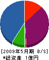 嶋田電気工事 貸借対照表 2009年5月期