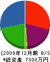 渡辺製畳 貸借対照表 2009年12月期