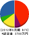 串本鋼材 貸借対照表 2012年6月期