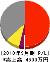 長島興業 損益計算書 2010年9月期