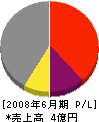 橋本組 損益計算書 2008年6月期