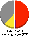 タイト工業 損益計算書 2010年7月期