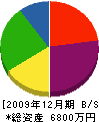 柳原工業 貸借対照表 2009年12月期