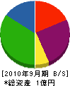 松井土石興業 貸借対照表 2010年9月期