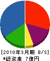 アイセイ社 貸借対照表 2010年3月期