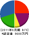 山村電業 貸借対照表 2011年6月期