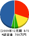 サイトー美研 貸借対照表 2009年12月期