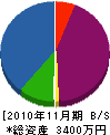 木倉電設 貸借対照表 2010年11月期