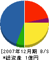大松建設 貸借対照表 2007年12月期