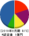 ワトー 貸借対照表 2010年8月期 ワトー 貸借対照表 2010年8月期