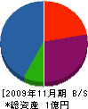 平岡特殊建設 貸借対照表 2009年11月期