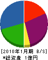 蒔田興業 貸借対照表 2010年1月期