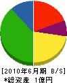 サンワ興業 貸借対照表 2010年6月期