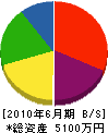 タイヨウ 貸借対照表 2010年6月期