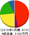 亀井工務店 貸借対照表 2010年3月期 亀井工務店 貸借対照表 2010年3月期