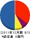 環境装備エヌ・エス・イー 貸借対照表 2011年12月期