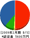 中川電気 貸借対照表 2009年2月期