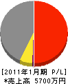 田中総建 損益計算書 2011年1月期