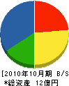 新晃電気 貸借対照表 2010年10月期