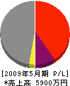 鷲建設 損益計算書 2009年5月期