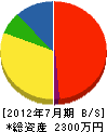 神戸電気商会 貸借対照表 2012年7月期