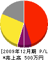 坂本庭園 損益計算書 2009年12月期
