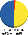 井上電器 貸借対照表 2010年5月期 井上電器 貸借対照表 2010年5月期