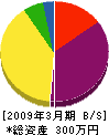 カナイ電機 貸借対照表 2009年3月期 カナイ電機 貸借対照表 2009年3月期